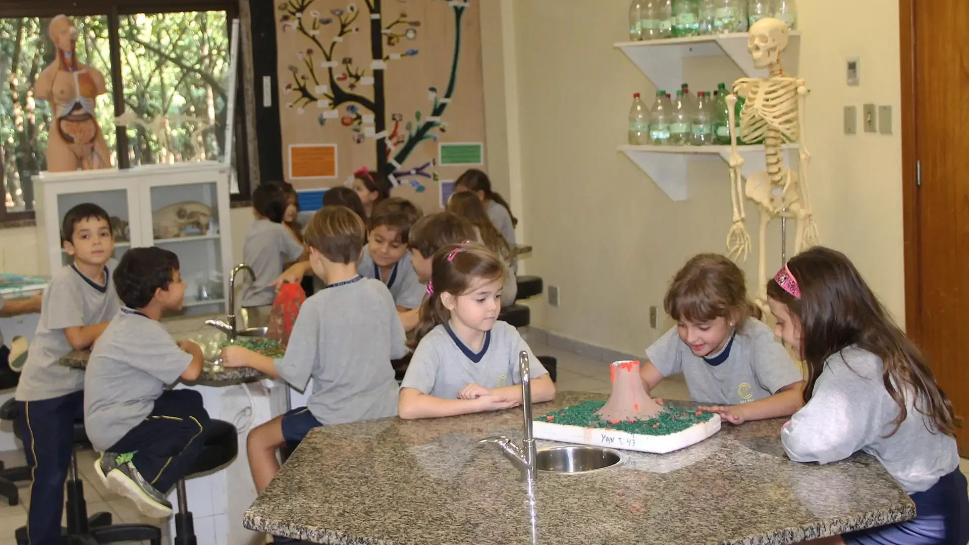 ensino-fundamental-1-1