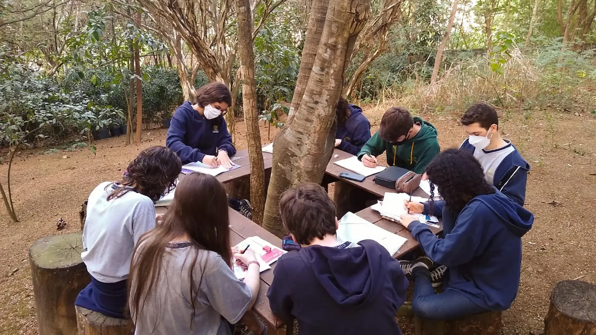 ensino-fundamental-2-6